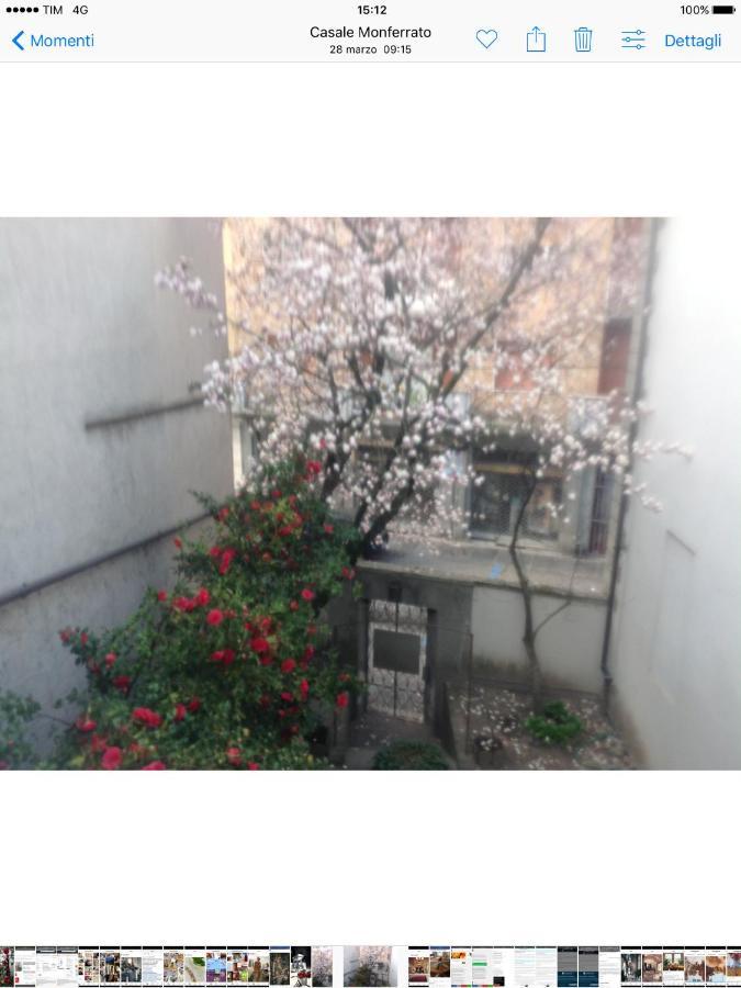 Magnolia Acomodação com café da manhã Casale Monferrato Exterior foto